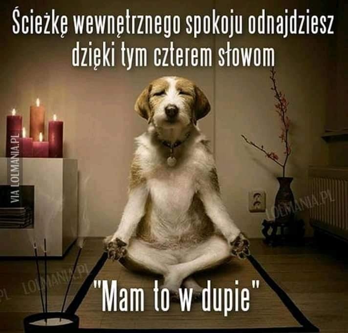 2cf72534-a765-4f68-b69b-3c874e42b8cb