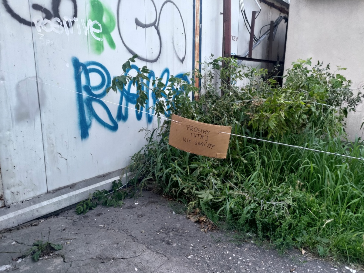 dc4adc41-fb4a-4f56-8a11-da9fdad1a092