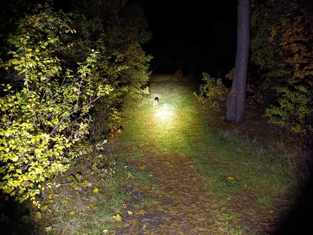 768e5448-8d10-4e12-8117-1420fab19639