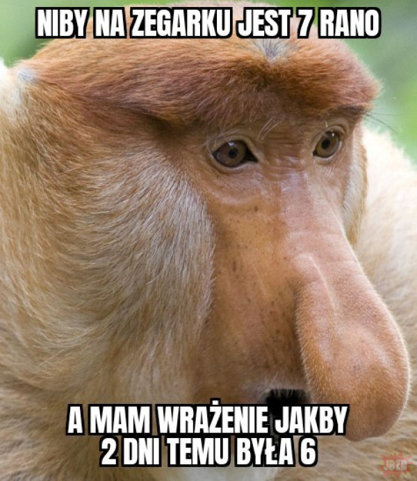 fb9a7def-7367-48b3-ac8b-ffbd40017873