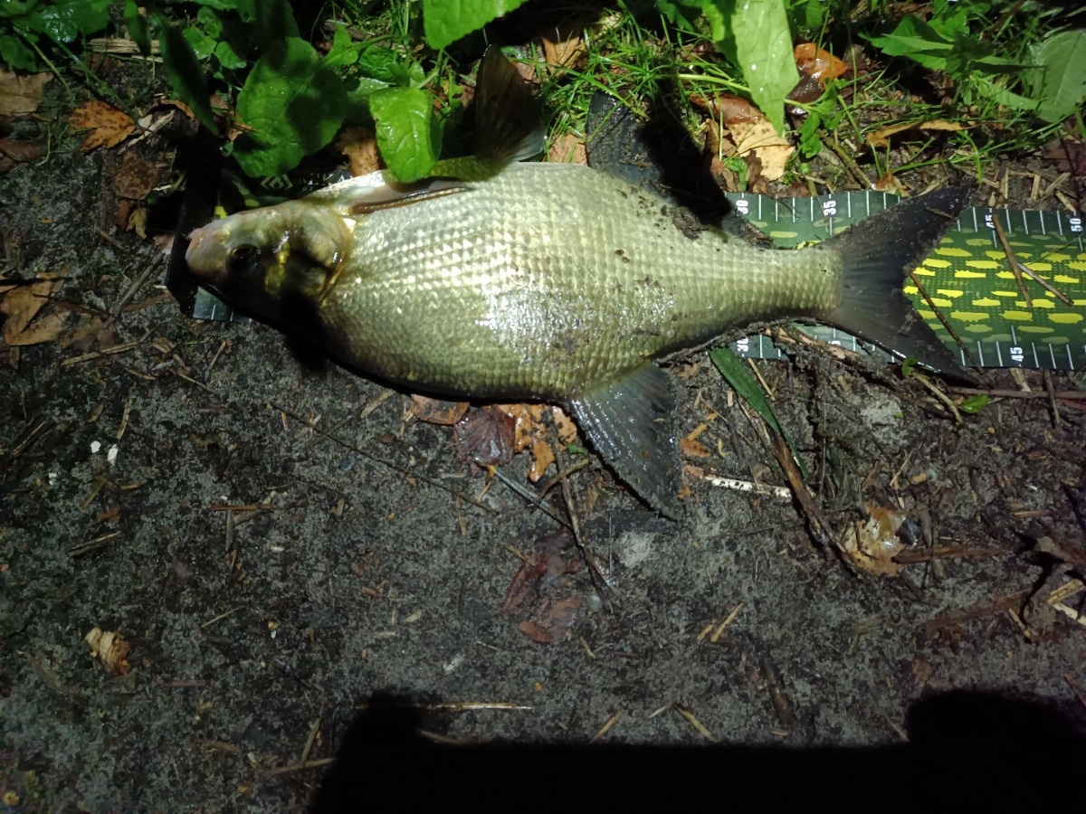 a9166ce7-69c6-42af-9553-95215c01d0a8