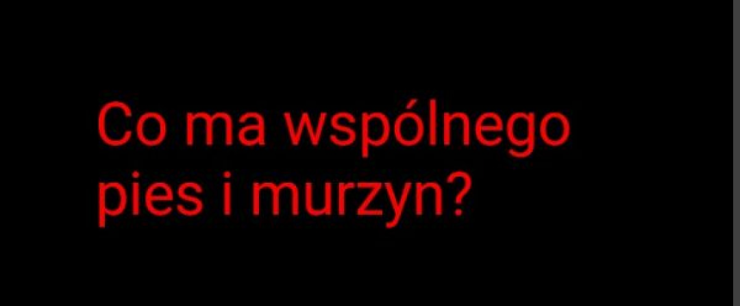 af6cae25-78e7-4e7c-8e28-0dab9aa6ab14