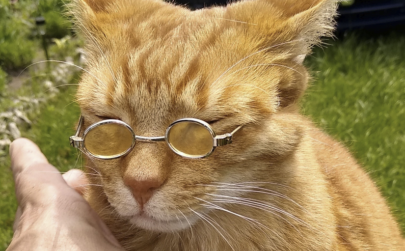 cd2523b3-e5a3-4c05-a511-ada504fa4d24