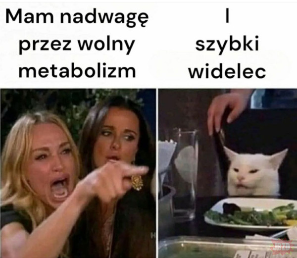 b983afc6-8fe2-4428-8d8a-7b0c6f96468b