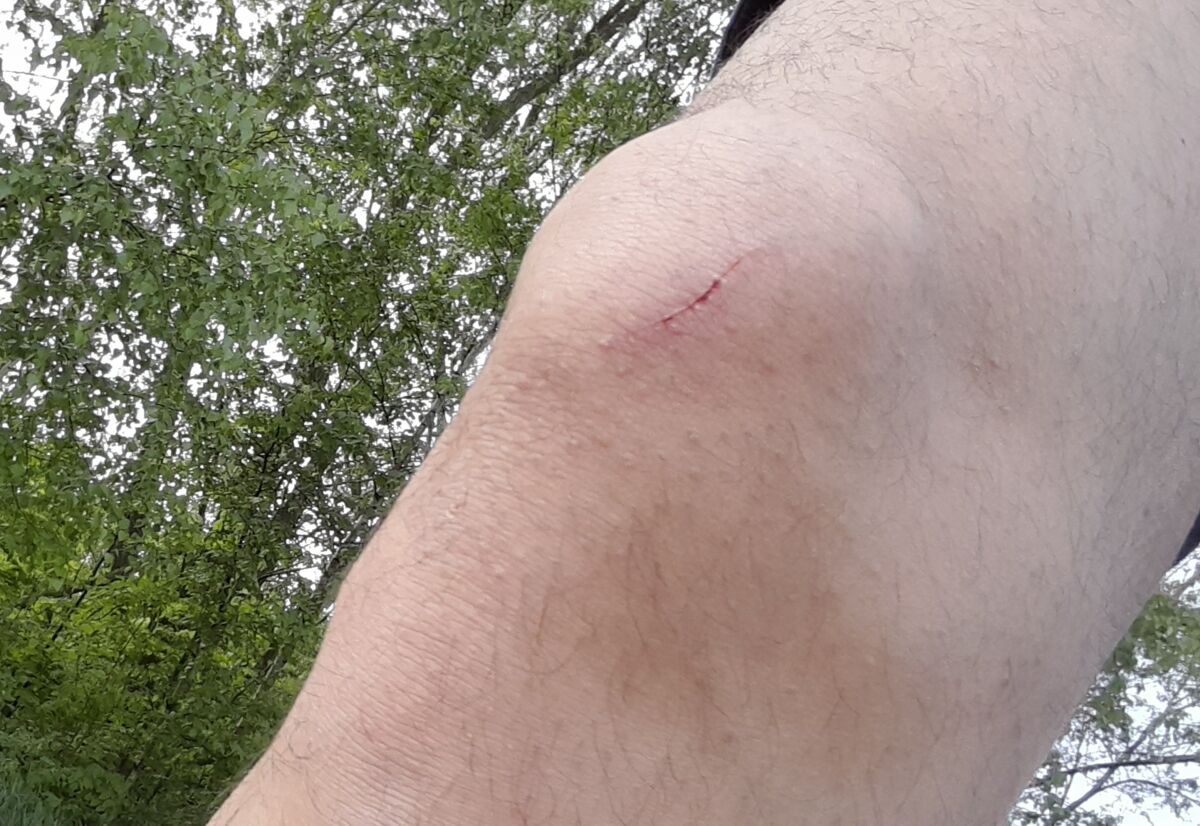 5f6f12de-5b2a-4c0b-8eea-1dfc58d87bd7