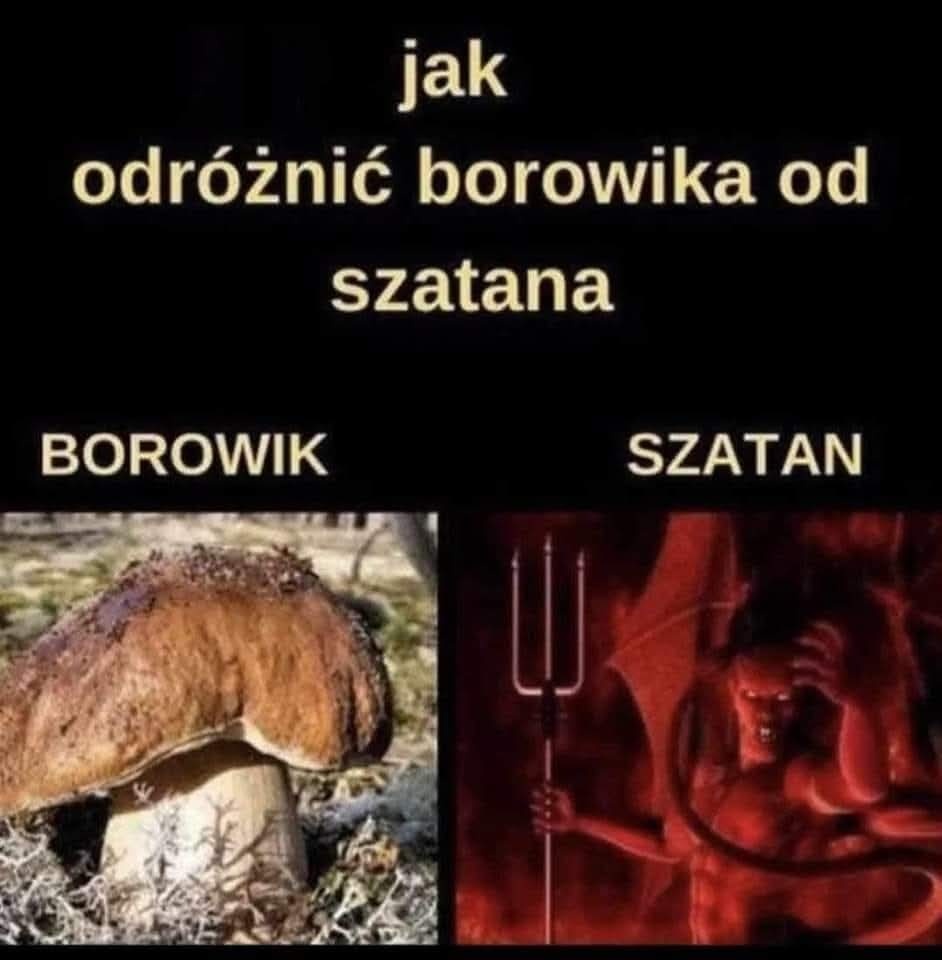 95969ddb-d822-4e75-a83f-eff24e5cfec2