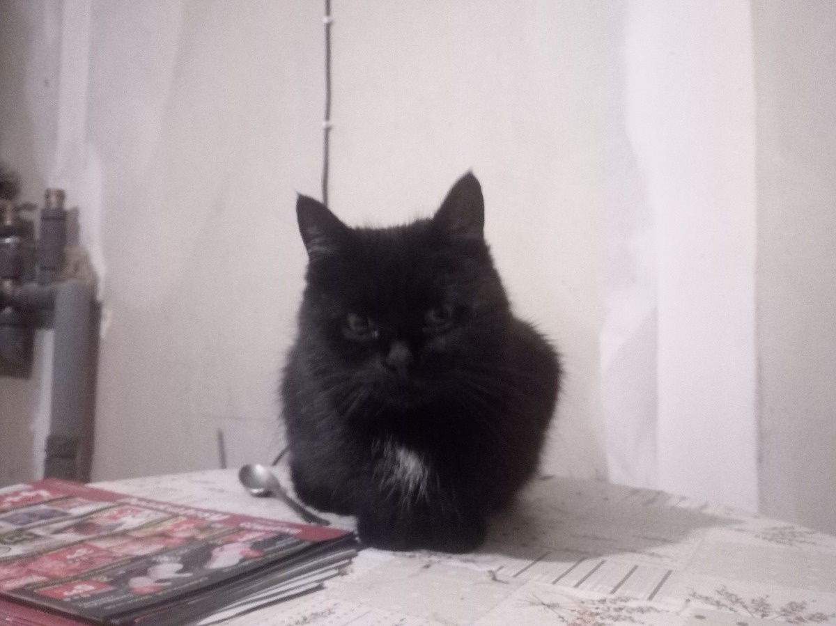 42550f9f-5c82-4fba-b221-068bc1059bc9