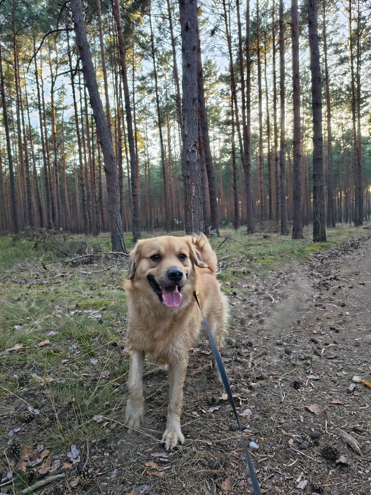 fbbae910-10e0-42fe-be11-a0b267c2e4dd