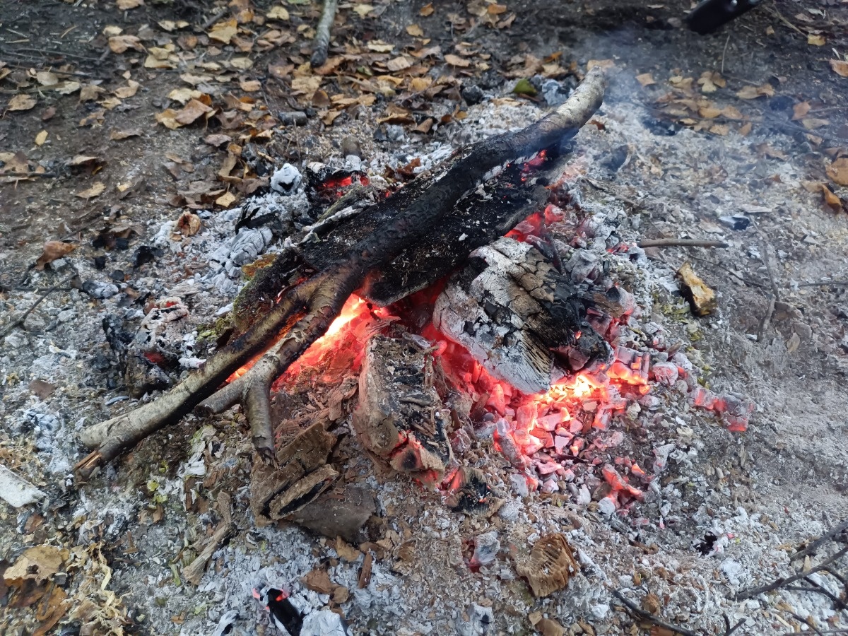 838d4d1d-e58d-4322-b157-87b109fed46a