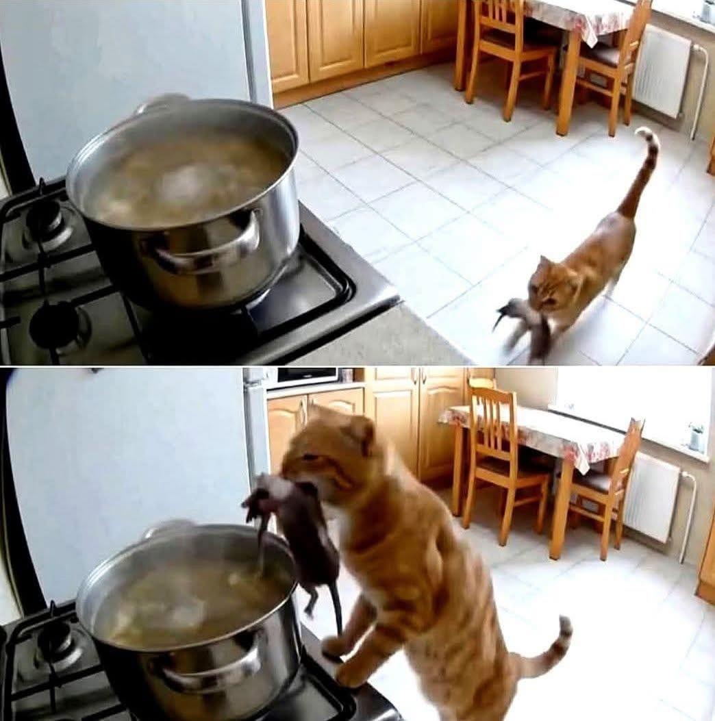 03fe5fa0-6459-4550-88d7-4e697f1c32b8