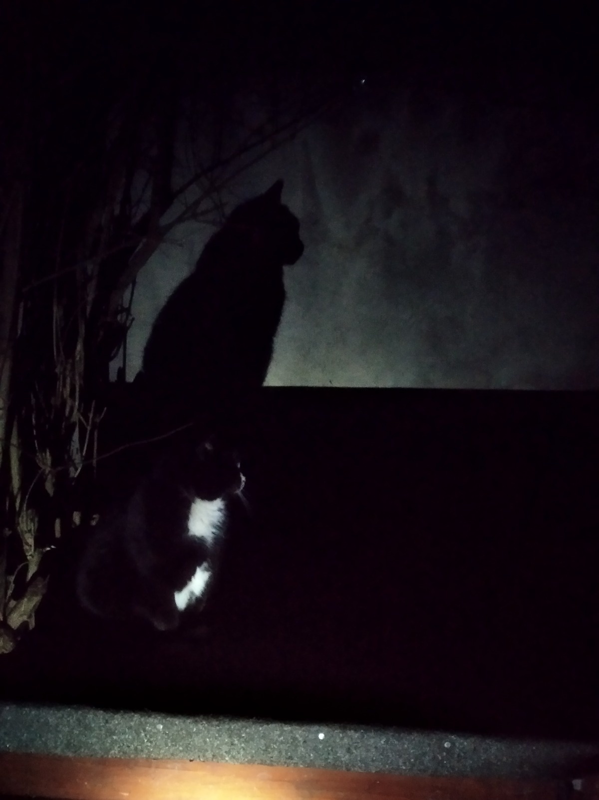 b55b0ccc-c0d4-4f55-b454-12cdb3501ea4