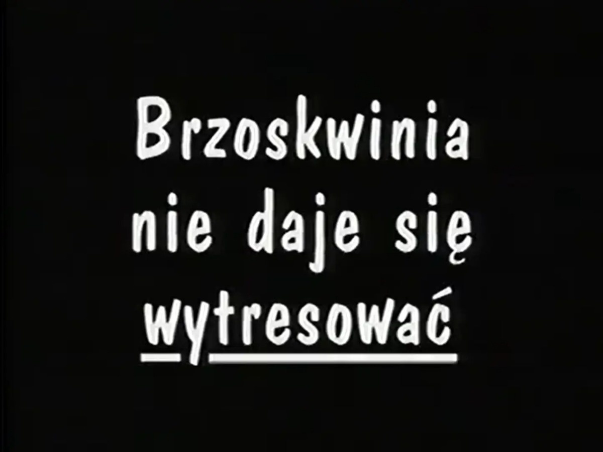 89b33ce4-6efc-48d6-b97c-f74567ba0265