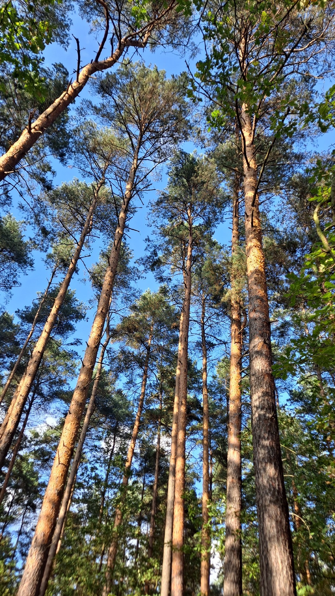 e506272c-726a-4676-b74f-6243f36af79d