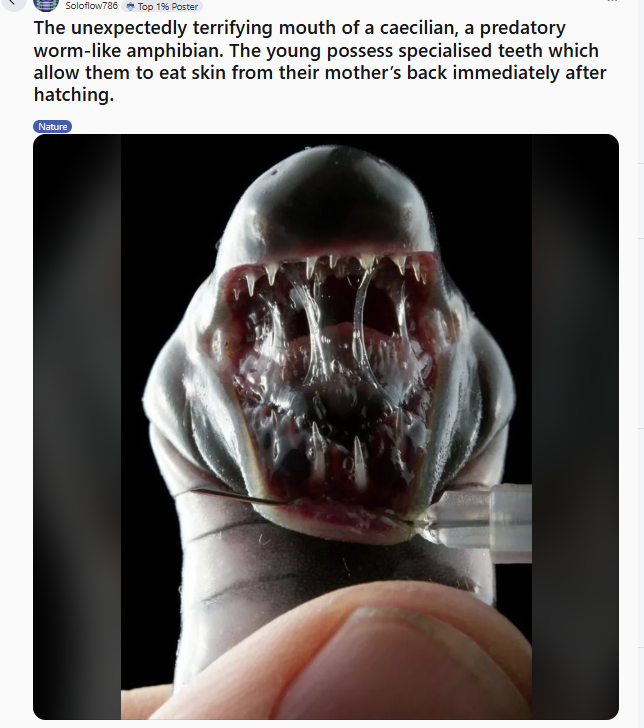 c9378ba6-bea7-4f1c-bbd3-04ac9583b2fa