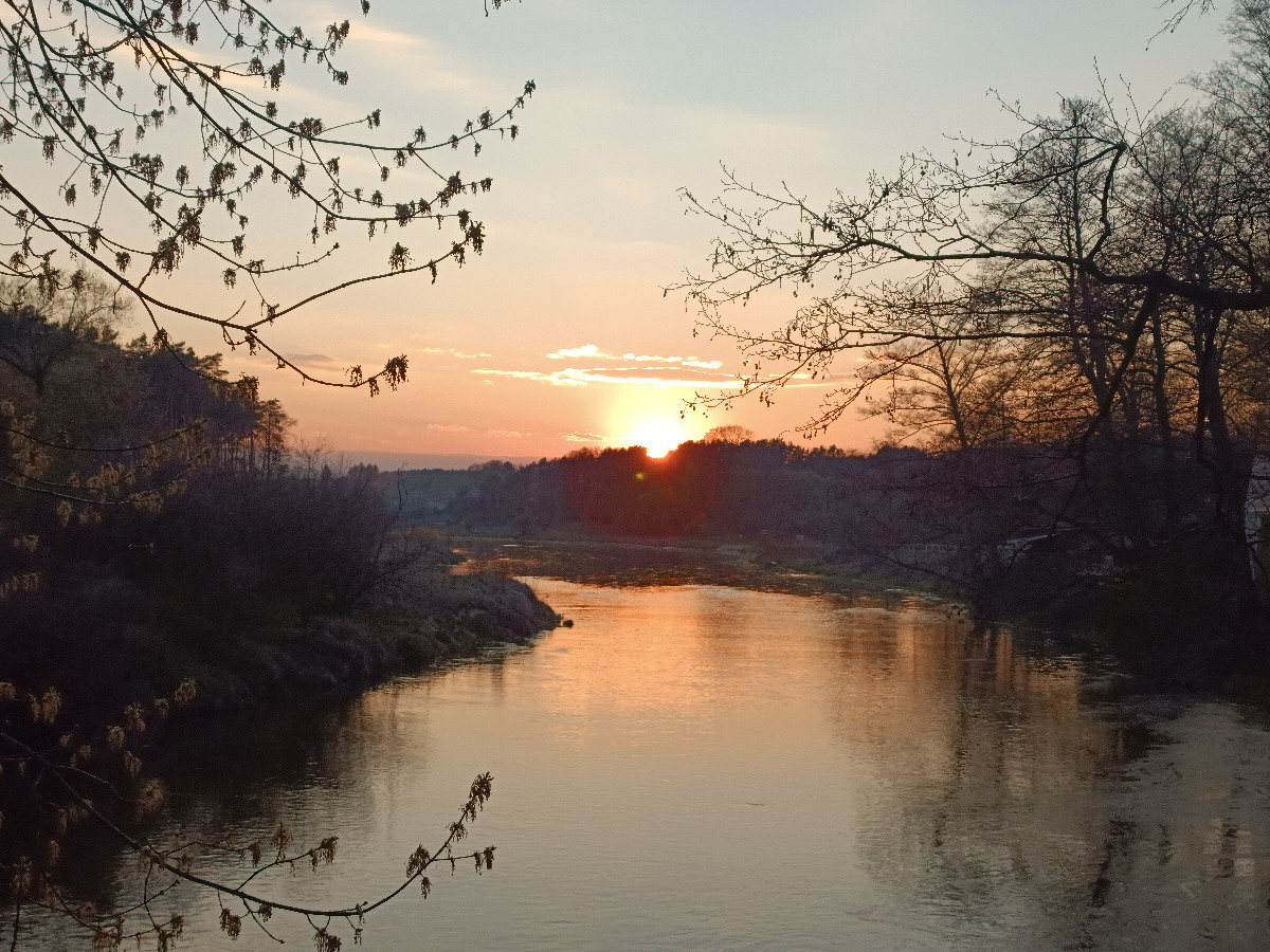 b9418c66-59c8-4d14-932a-2aa8f22fc7ee