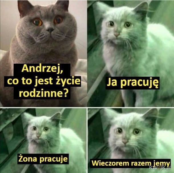 5afad460-7d66-4c60-87c5-8a86aba7c5ae