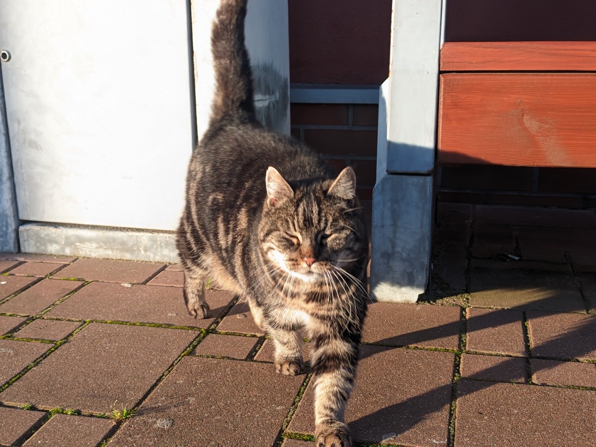 ecd78814-35d7-4ba4-8565-26927976527f