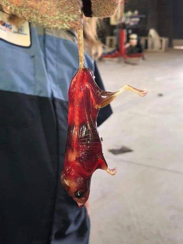 44a4766b-f1ff-4e18-a07a-c2bfd9e16a9b