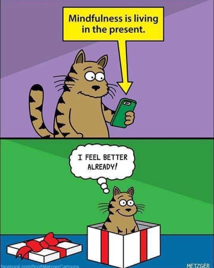 cc964c60-0ade-4be4-8d8d-271010eec24c