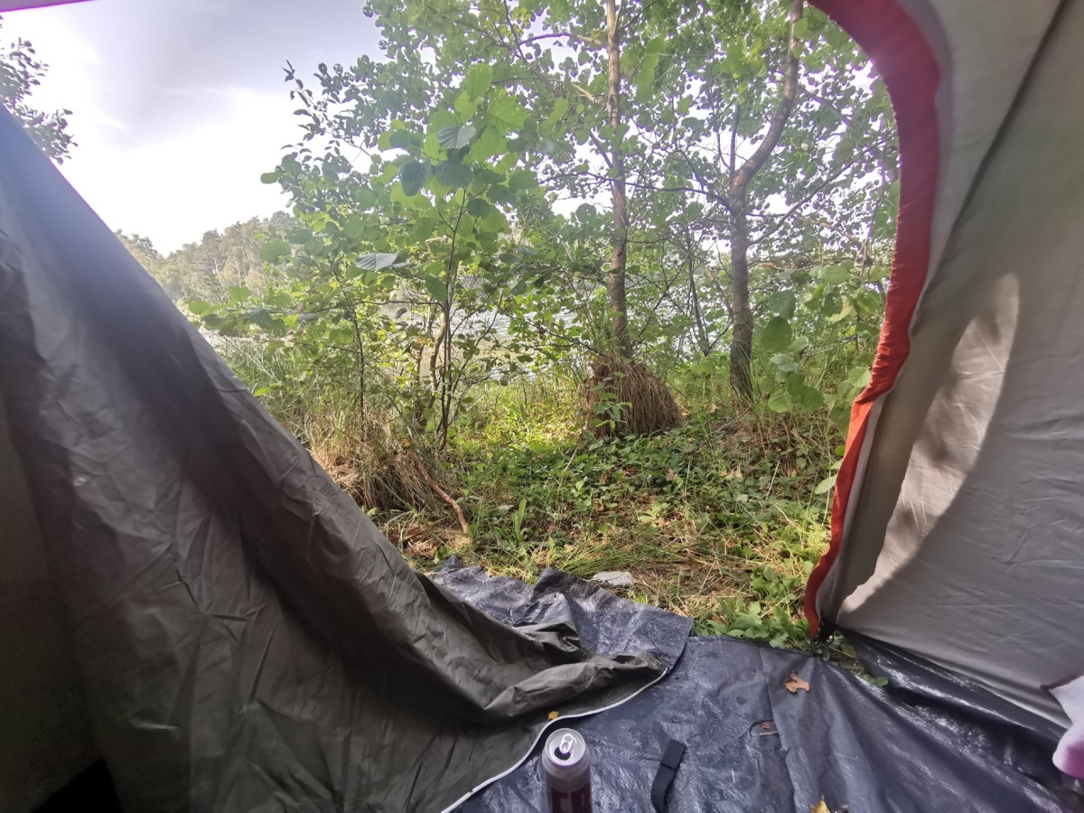 af5fe1a4-9ce2-43e2-838b-07eaebfe134a