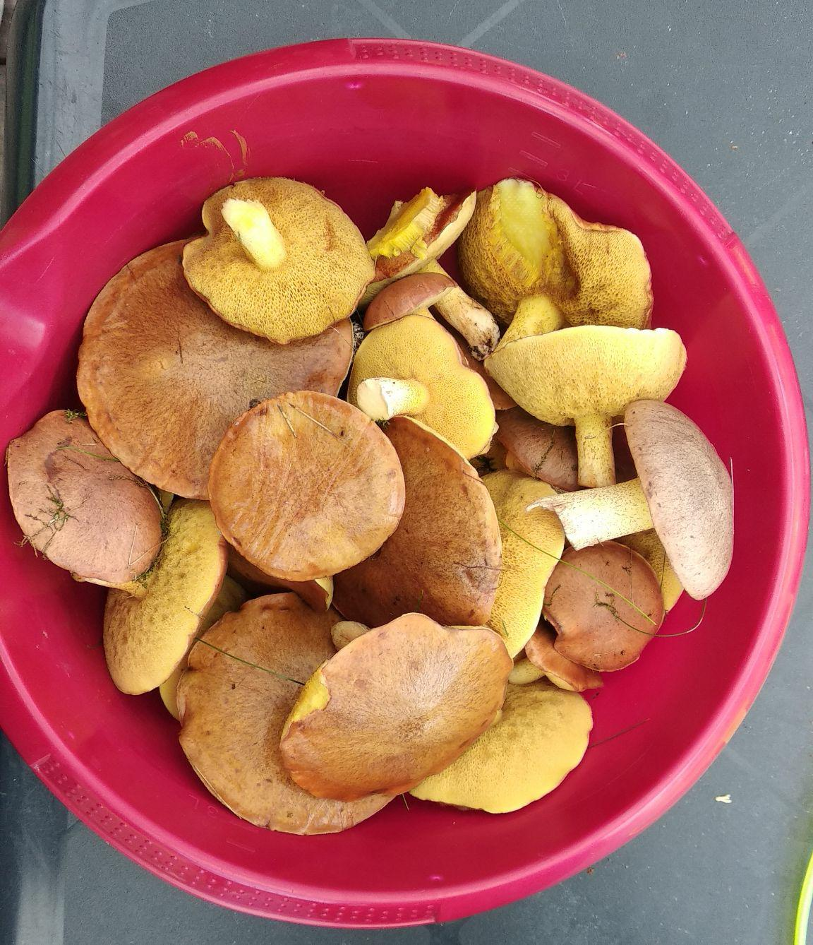 18d29fba-5eac-4d11-993d-d311bff89471