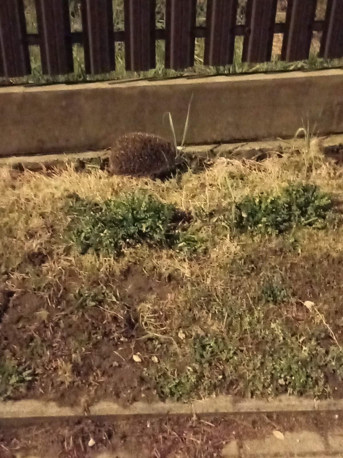 19cd80c4-c212-4d1f-9773-6da3697e29d0