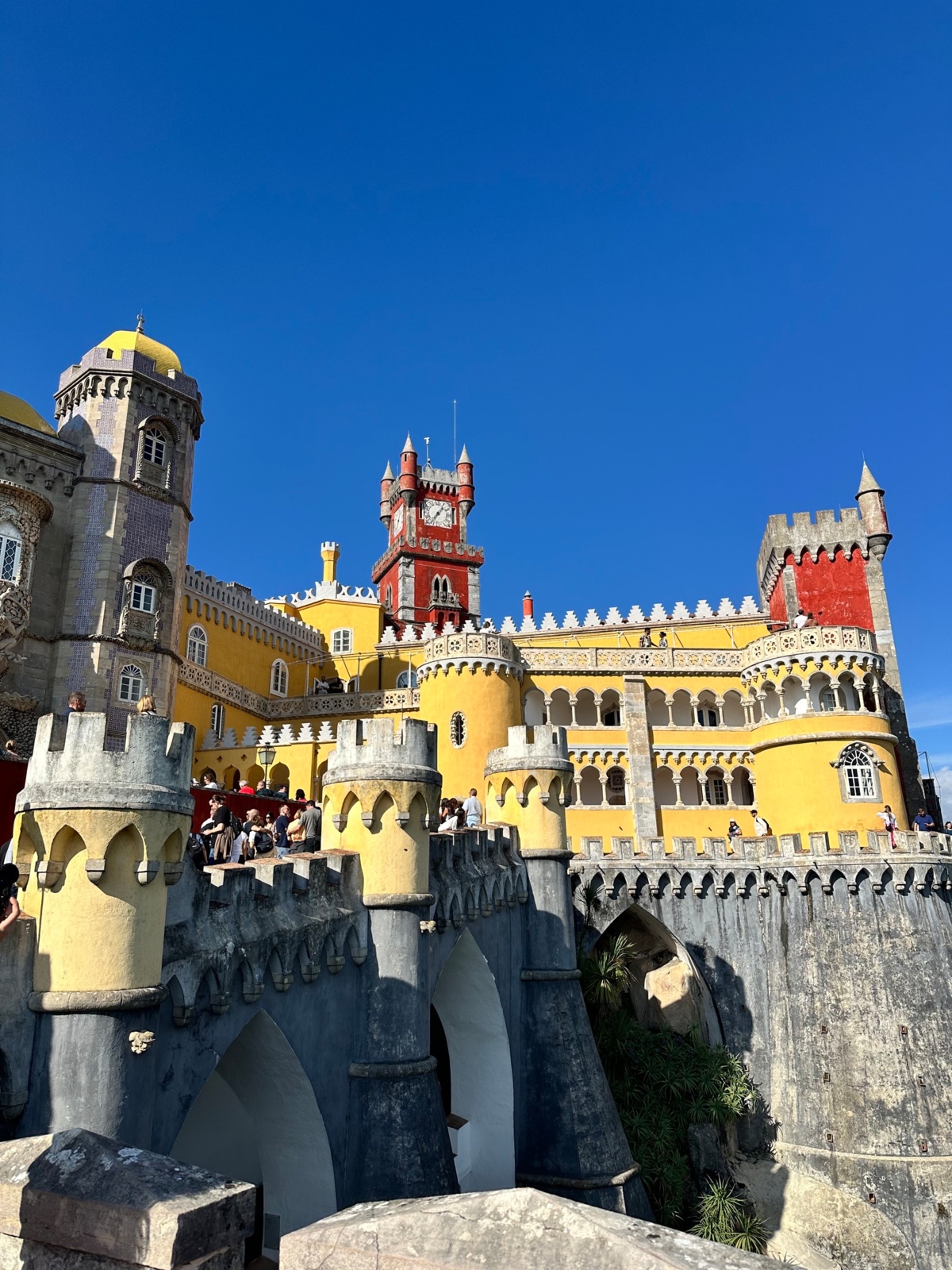 4fade4b2-71a8-4a8e-a566-4b606bcc0a4d