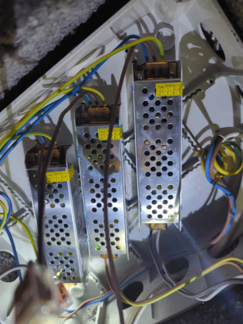 5d70e8b5-6195-4221-84ba-078336323fdd