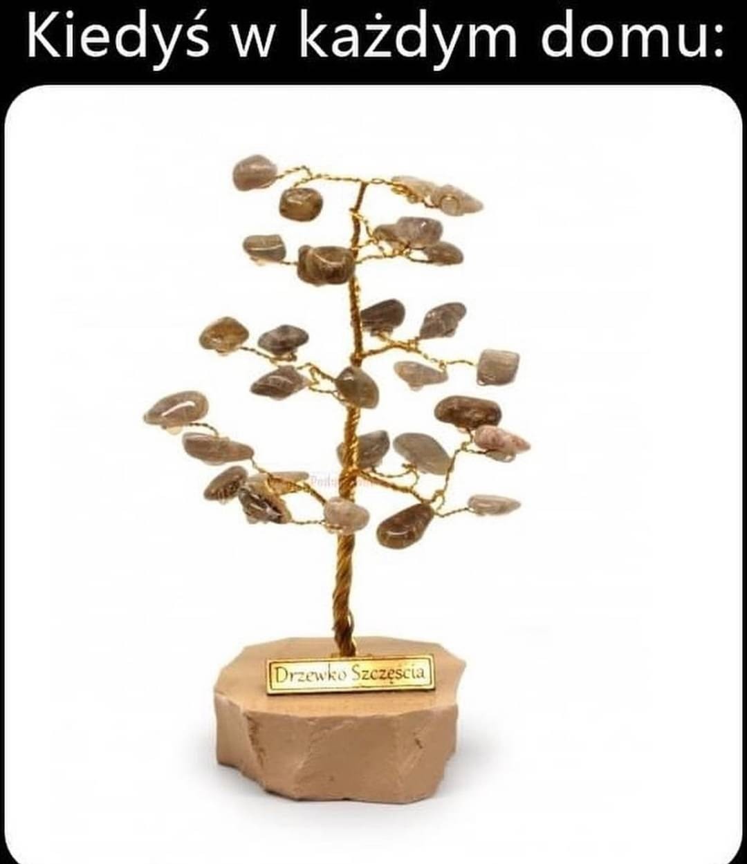 f233dcce-3ecb-4573-a3fd-d5934d11e75f