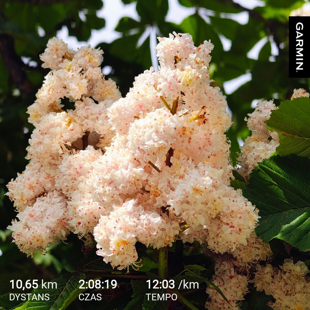 2132e8ff-5262-4414-b591-4c4df54426aa