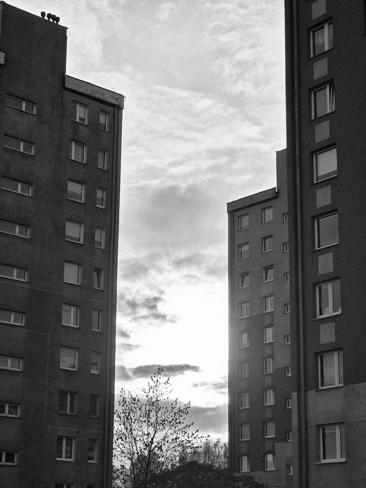 e3490bb7-3cc0-4a39-9be9-907b00278221