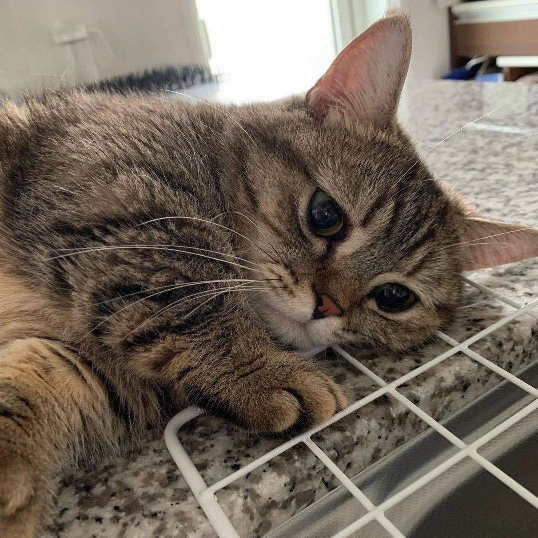 7a13e5b9-28ba-4519-8dc1-79e6cd978d95