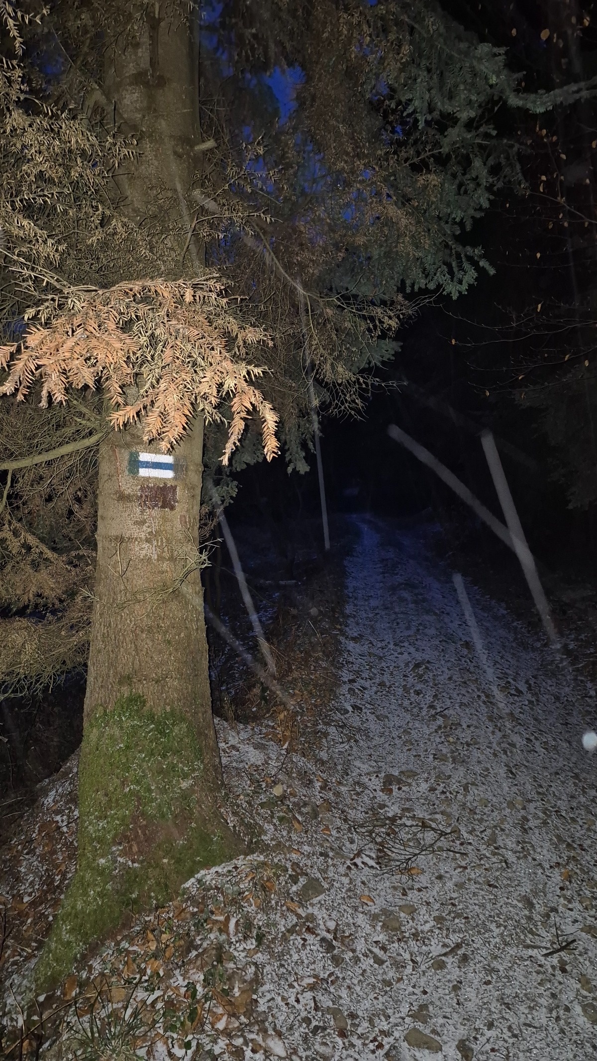 be6673a6-1ca7-46cc-abf5-c049156fbf53