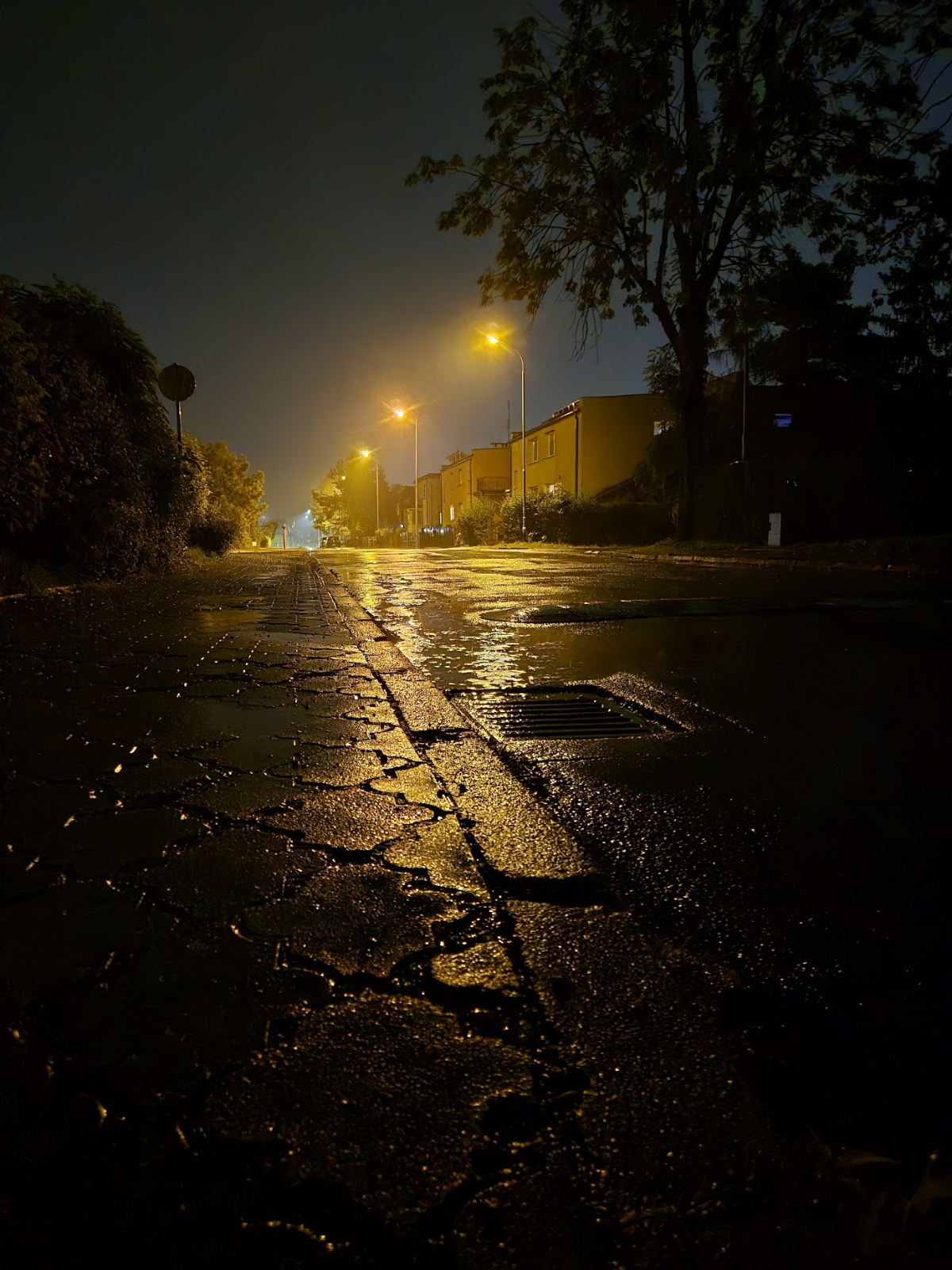 9c11b1ae-74a4-44b7-bd26-a83bcb069e95