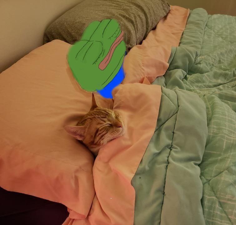 ecfad50f-63f5-4254-81cc-9dd402e4569b