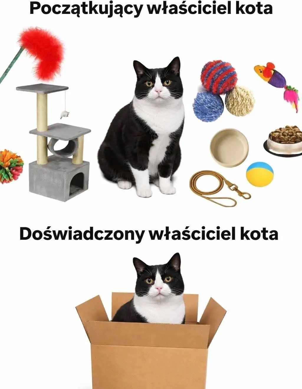 741cbc28-9b1a-4151-8c42-cdf732ce68ba