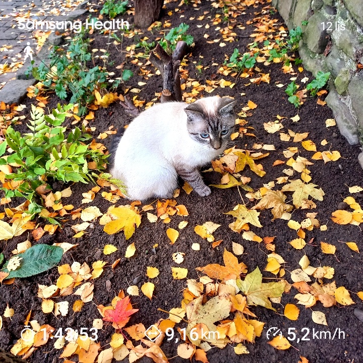 bbe1cc31-375d-46cf-8aab-ecc653c2eadd