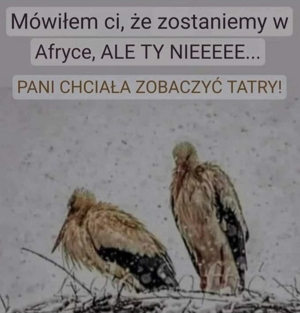 438b7fb9-1938-4aa1-8824-c2ae2cc0fa0a