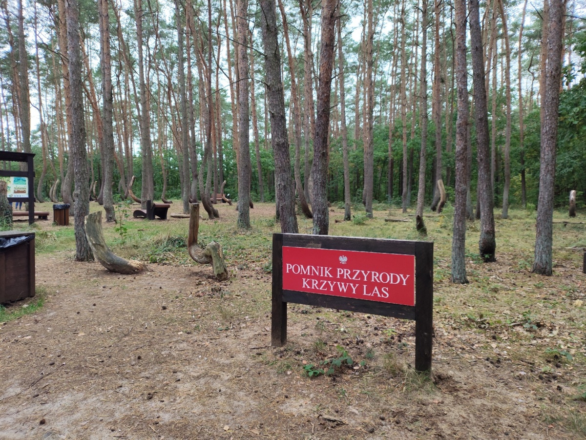 d762d91b-47c7-40d0-9700-ab18018acf11