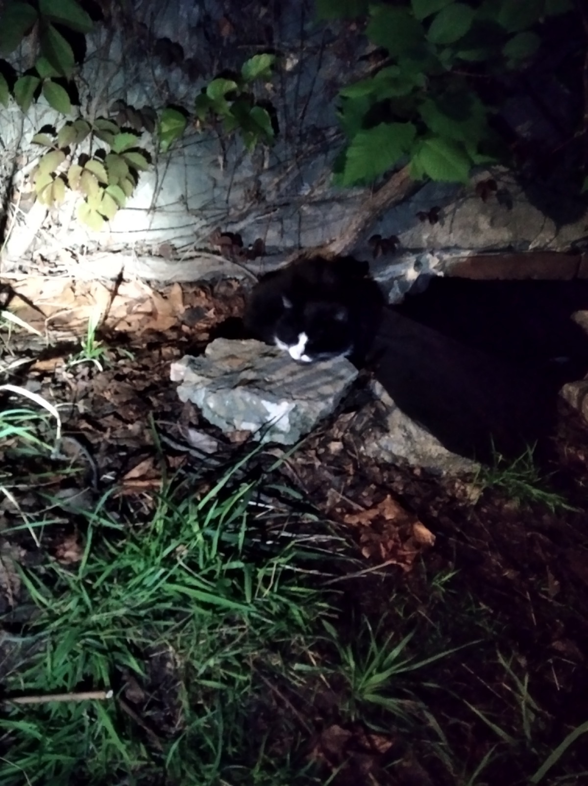 9e13185c-4034-43cc-bb27-79a13e7bf77b