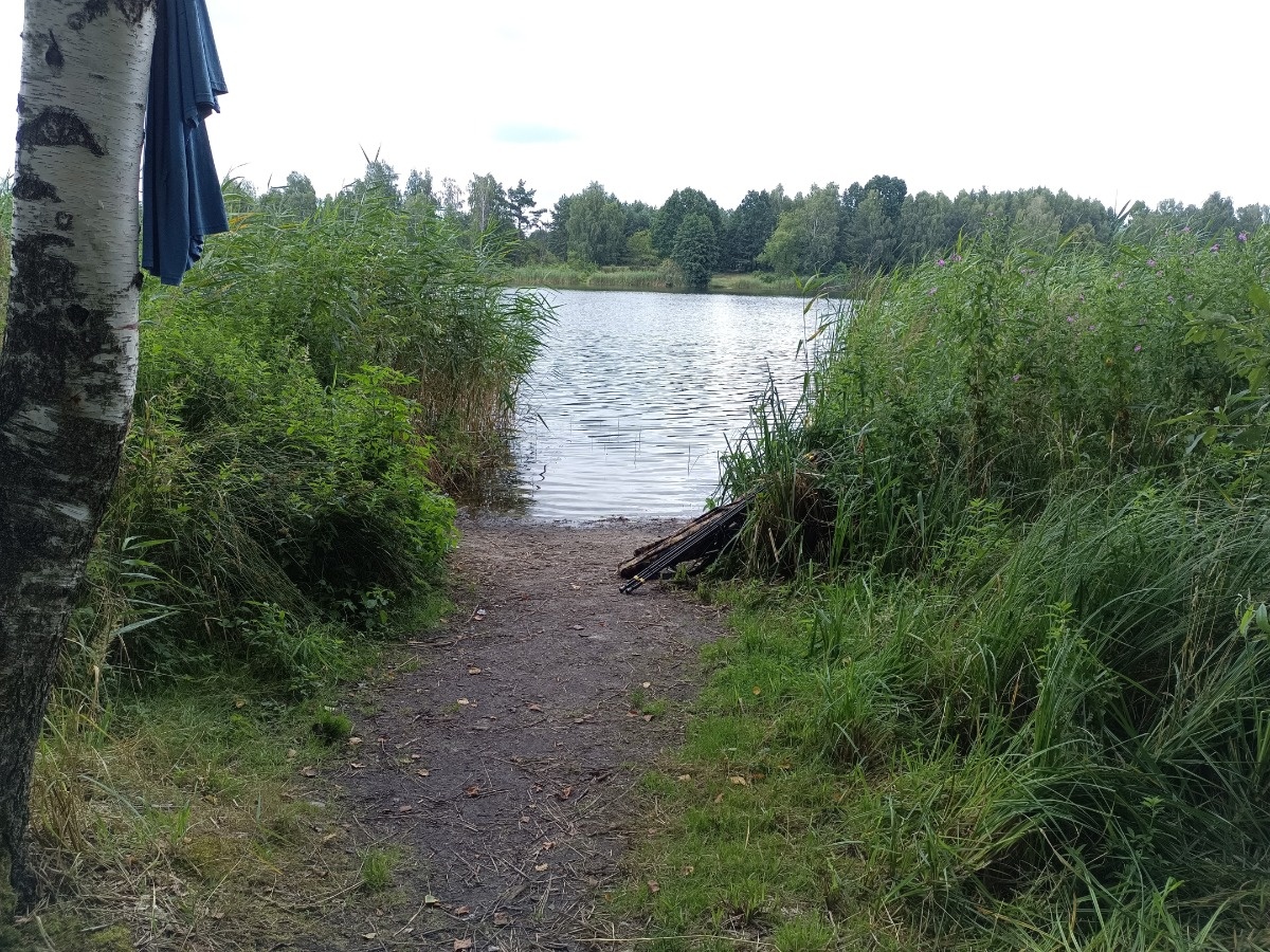 a0a8e04b-e0d8-430d-82ca-1601100118cb