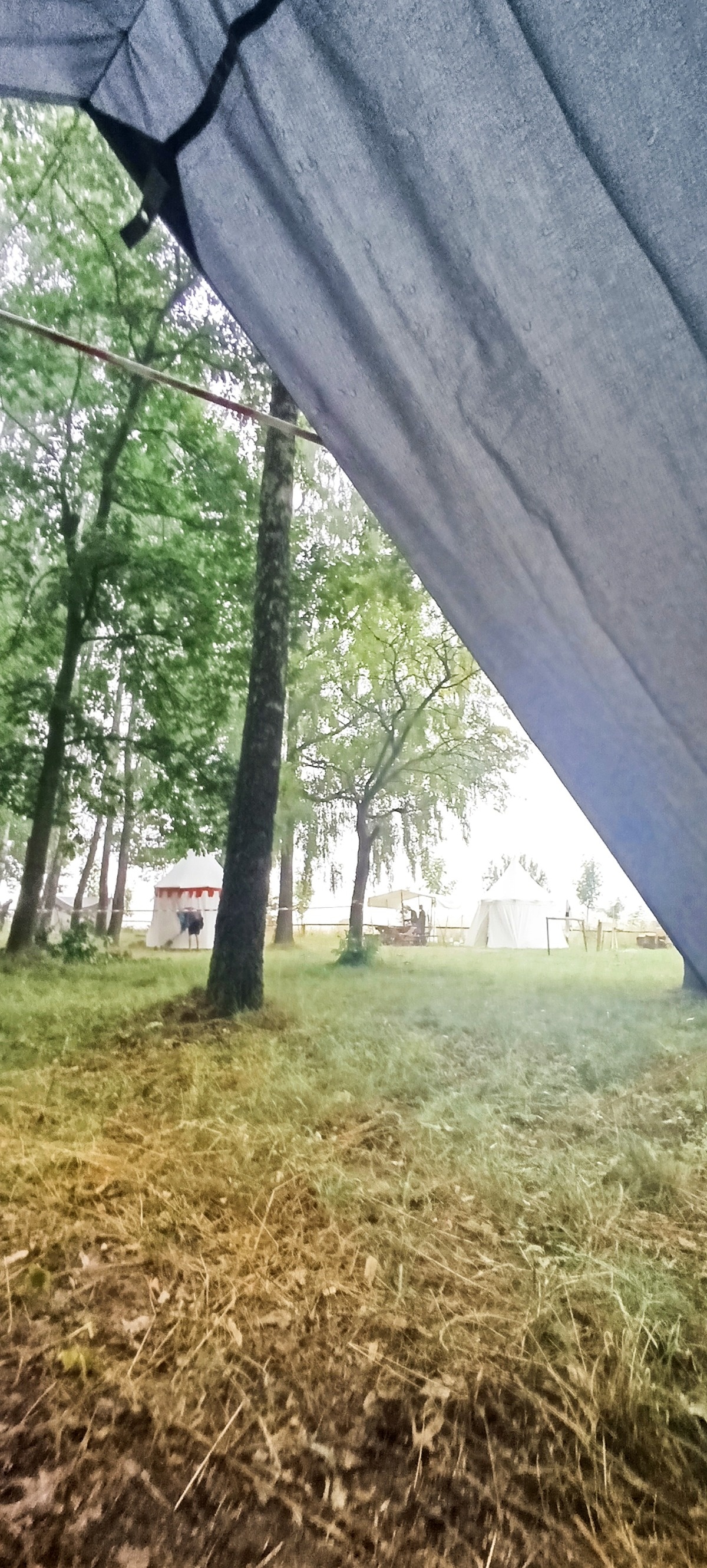 dcf88035-f01f-464b-a341-fa4d27226e8b