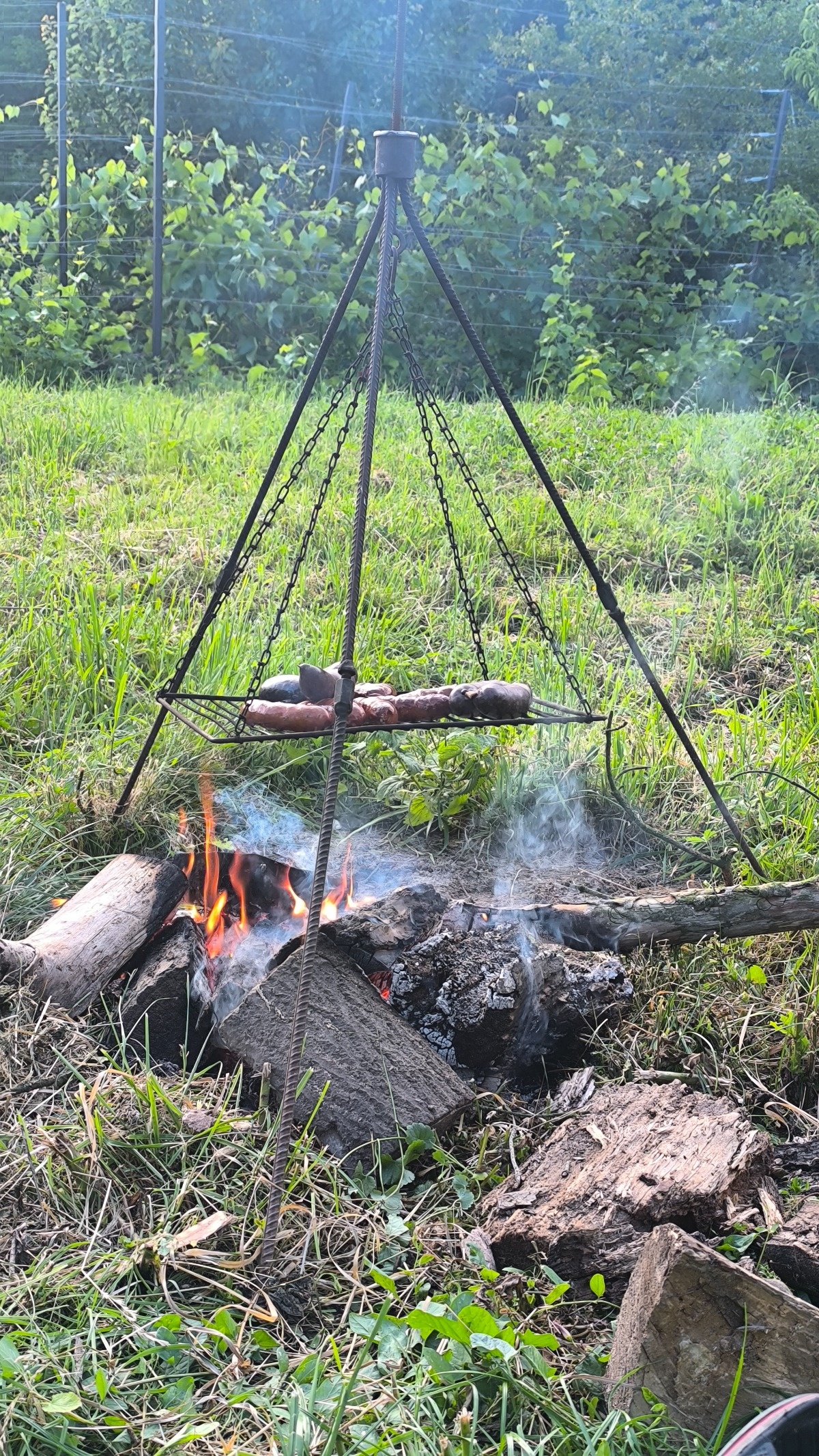 d5e191b4-b347-4b4b-afb3-c9401115c6bc