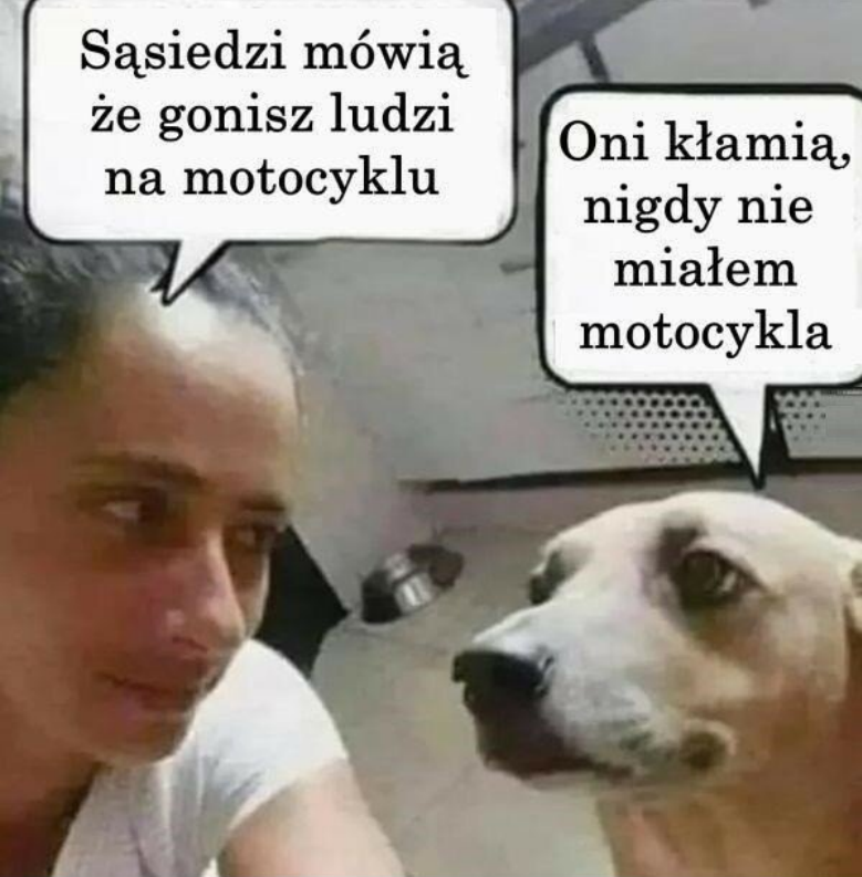 1a176c3e-a531-4f11-ab91-69233aec6ab9