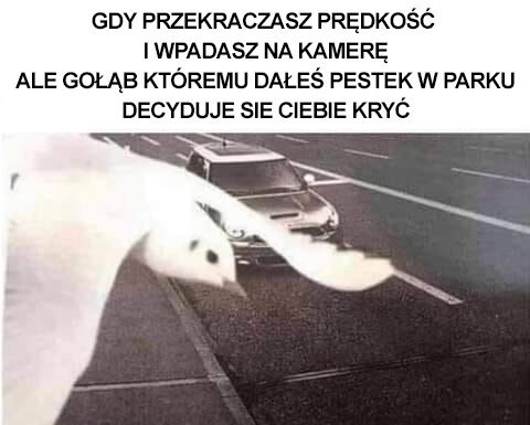 f6f975b5-65bc-410f-a9bf-f3dafaa213a3