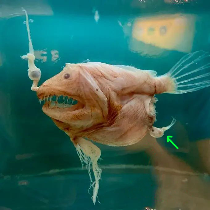 2f77959d-d86a-415a-a487-d963f9aec6a3