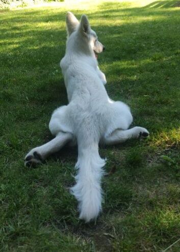 48ae6ec9-565d-4e2f-9361-3fa059987e67