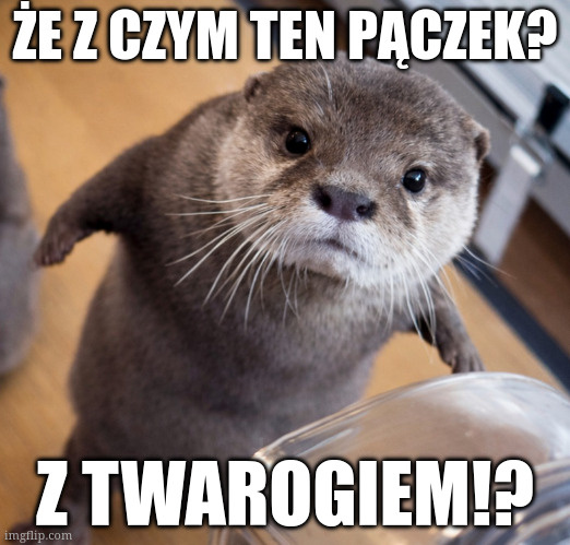 6424add7-20c1-4eee-b3ec-b3bf056b61e3