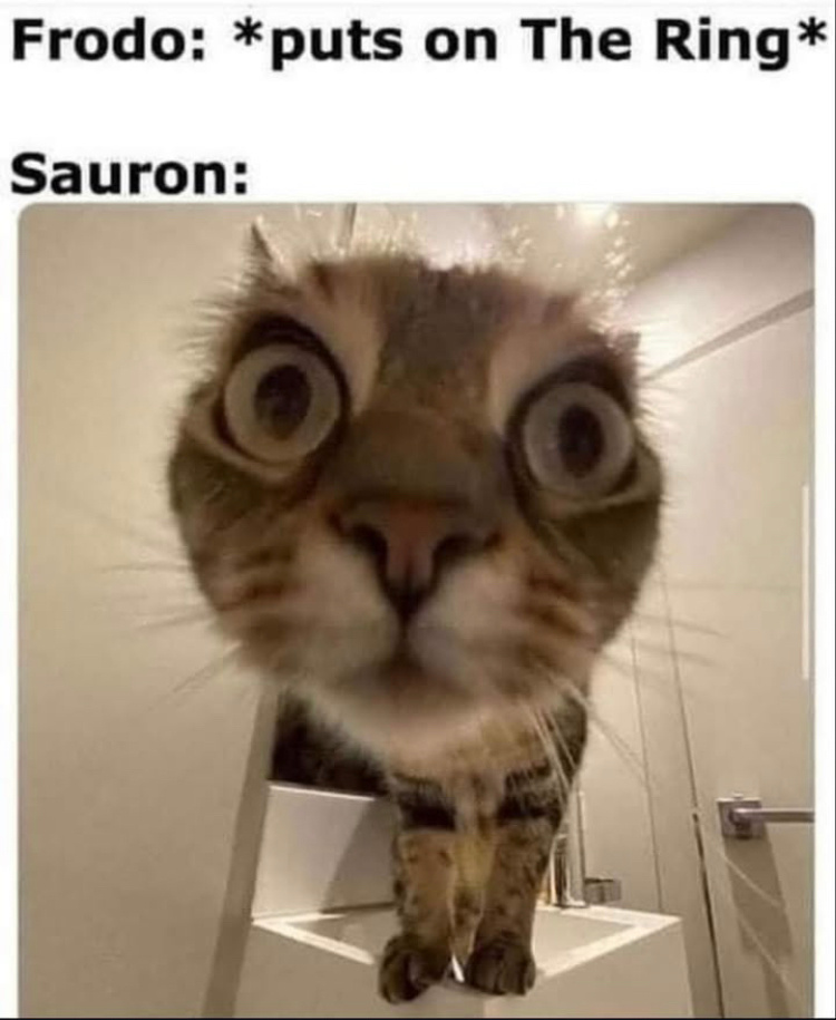 acca09bc-2fe9-4644-9fb4-99bf9fd98896