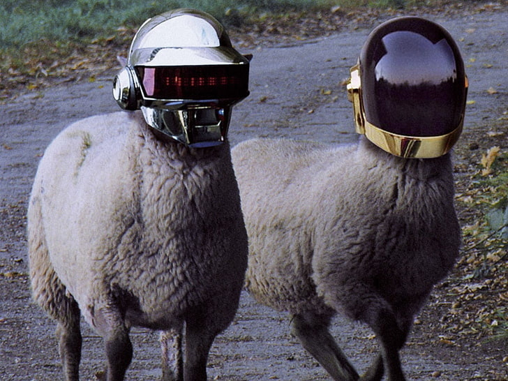 15393b14-e930-4a4f-8260-3fe4746b9854